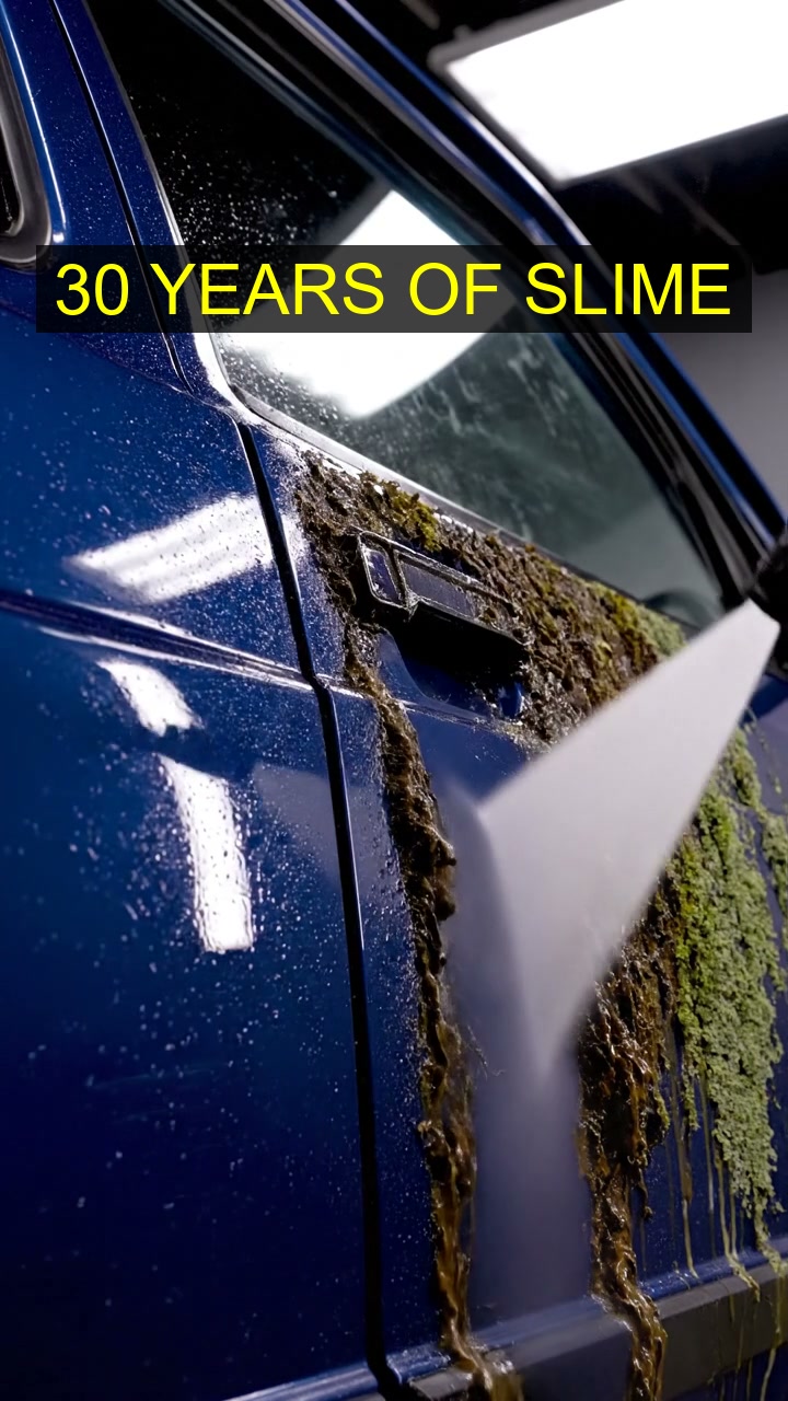 30 Years of Oregon Swamp Slime vs 1985 Volvo 240 GL #Shorts