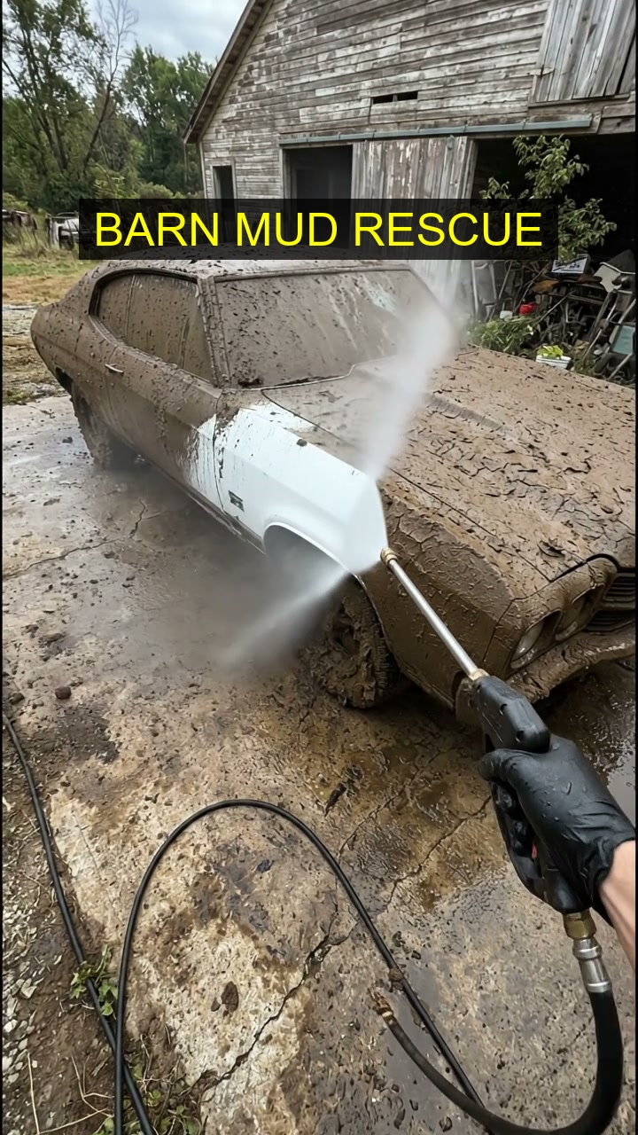 Buried Under 50 Years of Mud: Rare 1970 Chevelle SS 454! 🏎️✨
